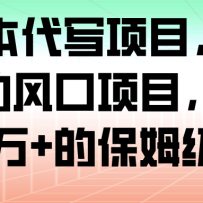 AI+剧本代写项目，细分领域的风口项目，实测月入1万+的保姆级教程
