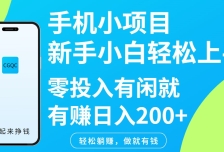 手机小项目新手小白轻松上手零投入有闲就有赚日入200+