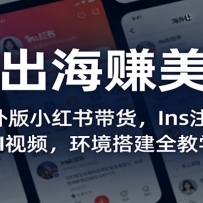 AI出海赚美金：海外版小红书带货，Ins注册，AI视频，环境搭建全教学