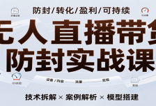 无人直播带货防封实战课，7天掌握高转化直播技术，实现单场GMV破万可持续模