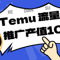 专注于Temu、商家提供精准曝光浏览量，助力店铺排名提升和转化。单机日收入