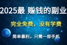 2025最简单最暴利项目，一部手机，日入过万，普通人翻身的唯一机会(没有学
