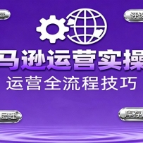 亚马逊运营实操课，选品策略，选品重点、广告最新打法、大促细节优化等（更