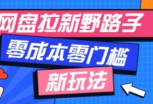一个人也能操作的网盘拉新野路子玩法，零成本零门槛多种变现方式，轻松月入