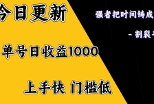 上手一天1000打底，正规项目，懒人勿扰