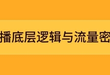 直播底层逻辑与流量密码：定位模型+案例拆解，急速流承接与数据优化全攻略