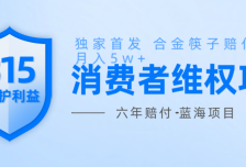 维Q赔付合金筷子玩法小白也能月入5w+风口项目实操