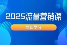 2025流量营销课：直击业绩卡点, 拓客新策略, 提高转化率, 设计生意模式