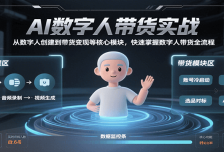 AI数字人带货实战，从数字人创建到带货变现各核心模块，快速掌握全流程