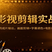 Pr影视剪辑实战课：从安装下载到成片输出，画面剪辑+字幕调色+电影感营造全