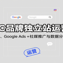 DTC品牌独立站运营课：建站优化、Google Ads + 社媒推广与数据分析全攻略