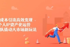低成本引流高效变现，个人IP资产化运营，小团队撬动大市场新玩法