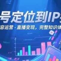 视频号定位到IP打造：账号搭建-内容运营-直播变现，完整知识体系