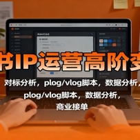 小红书IP运营高阶变现课：账号包装，对标分析，plog/vlog脚本，数据分析，