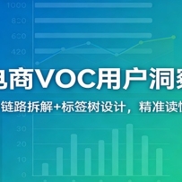 跨境电商VOC用户洞察特训：价值剖析+链路拆解+标签树设计，精准读懂海外用