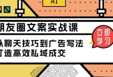 朋友圈文案实战课：从聊天技巧到广告写法，打造高效私域成交