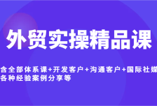 外贸实操精品课，含全部体系课+开发客户+沟通客户+国际社媒+各种经验案例分