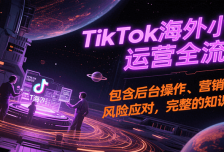 TikTok海外小店运营全流程，包含后台操作、营销推广、风险应对，完整的知识