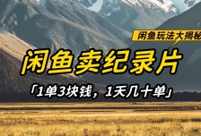 闲鱼卖纪录片，简单又赚钱的小项目，1单3块钱  1天几十单