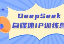 DeepSeek自媒体IP训练营，掌握四位定位法 长板变现模型 开启自媒体新篇章