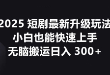 2025短剧最新升级玩法，小白也能快速上手，无脑搬运日入300+