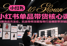 小红书单品带货核心课，极致选品方法论，实战导师深度指导打造爆款带货链路