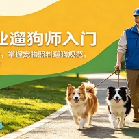 热门副业遛狗师入门，无门槛零经验可学，掌握宠物照料遛狗规范，轻松实现灵
