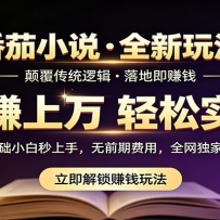 番茄小说5月最新独家玩法，稳定落地实测月入过万！