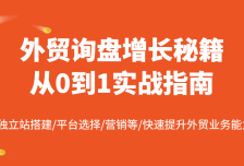 外贸询盘增长秘籍从0到1实战指南，独立站搭建/平台选择/营销等/快速提升外