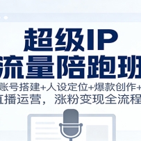 超级IP流量陪跑班：账号搭建+人设定位+爆款创作+直播运营，涨粉变现全流程