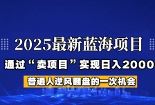 2025年蓝海项目，如何通过“网创项目”日入2000+