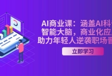 AI商业课：涵盖AI科普，智能大脑，商业化应用，助力年轻人逆袭职场晋升
