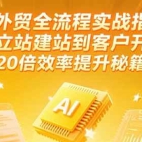 AI外贸全流程实战指南，独立站建站到客户开发，20倍效率提升秘籍(更新6月)