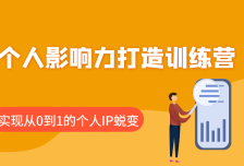 个人影响力打造训练营：涵盖个人IP打造的各个关键环节，实现从0到1的个人IP