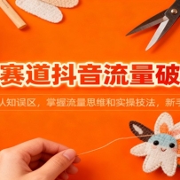手工赛道抖音流量破局课：避开认知误区，掌握流量思维和实操技法，新手快速