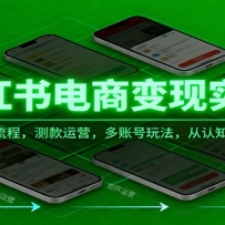 小红书电商变现实战课，冷启动全流程，测款运营，多账号玩法，从认知到实操