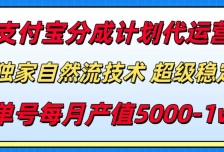 支付宝分成计划代运营，独家自然流技术，收益稳定，单号月产5000＋