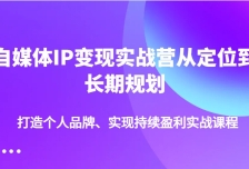 自媒体IP变现实战营从定位到长期规划，打造个人品牌、实现持续盈利实战课程