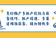 竞价推广多账户投放与获客技巧，账户搭建，多渠道精准获客，提升转化率