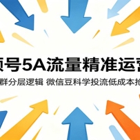 视频号5A流量精准运营课：拆解人群分层逻辑，微信豆科学投流低成本抢占红利