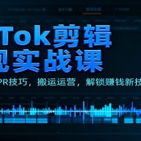 TikTok剪辑变现实战课：素材获取，PR技巧，搬运运营，解锁赚钱新技能