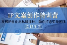 IP文案创作特训营，灵魂IP显化与私域播种，助你打造变现闭环（14节课）