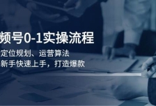 视频号0-1实战流程，包括定位规划、运营算法，助力新手快速上手，打造爆款