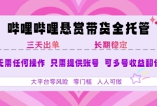 2025年B站风口带货项目 仅需提供账号 全程托管 轻松月入1w+