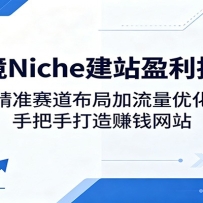 跨境Niche建站盈利指南：精准赛道布局加流量优化，手把手打造赚钱网站