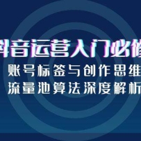 抖音运营入门必修课，账号标签与创作思维，流量池算法深度解析