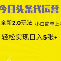 今日头条矩阵系统代运营 批量生成文章  次日见收益 躺赚月入3000+
