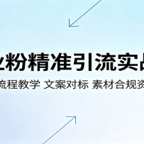 创业粉精准引流实战课：直播全流程教学，文案对标，素材合规资料合集