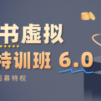 小红书虚拟项目特训班6.0 ，养号/选品/自动发货/爆款笔记（含40节视频课）