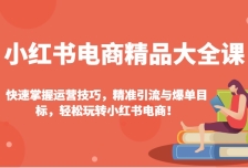 小红书电商精品大全课：快速掌握运营技巧，精准引流与爆单目标，轻松玩转小红书